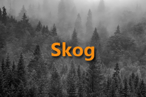 Skog